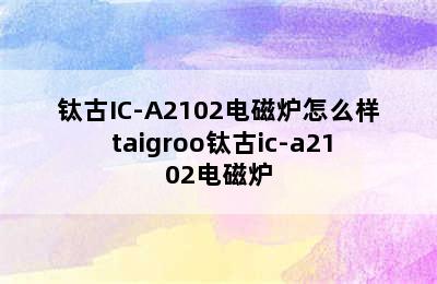 Taigroo/钛古IC-A2102电磁炉怎么样 taigroo钛古ic-a2102电磁炉